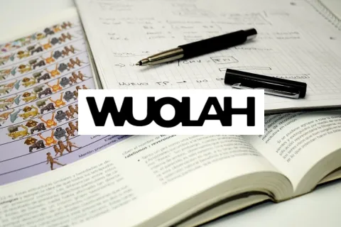 Foto de apuntes de la empresa Wuolah