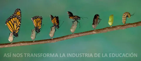 El sistema educativo da alas a nuestros hijos. ¿seguro? a mí me lastró